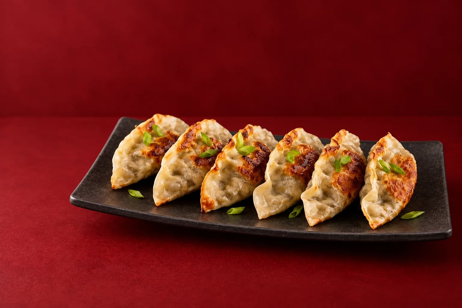 Illustration de gyozas frits présentés dans une assiette